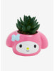 My Melody Planta Suculenta