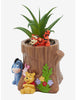 Winnie Pooh Planta Suculenta