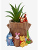 Winnie Pooh Planta Suculenta