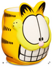 Garfield Taza Rostro