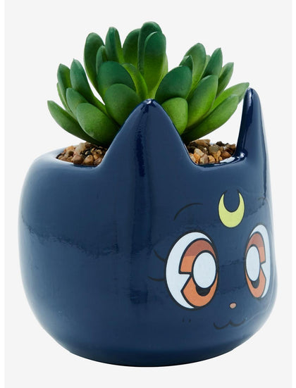 Sailor Moon Planta Suculenta