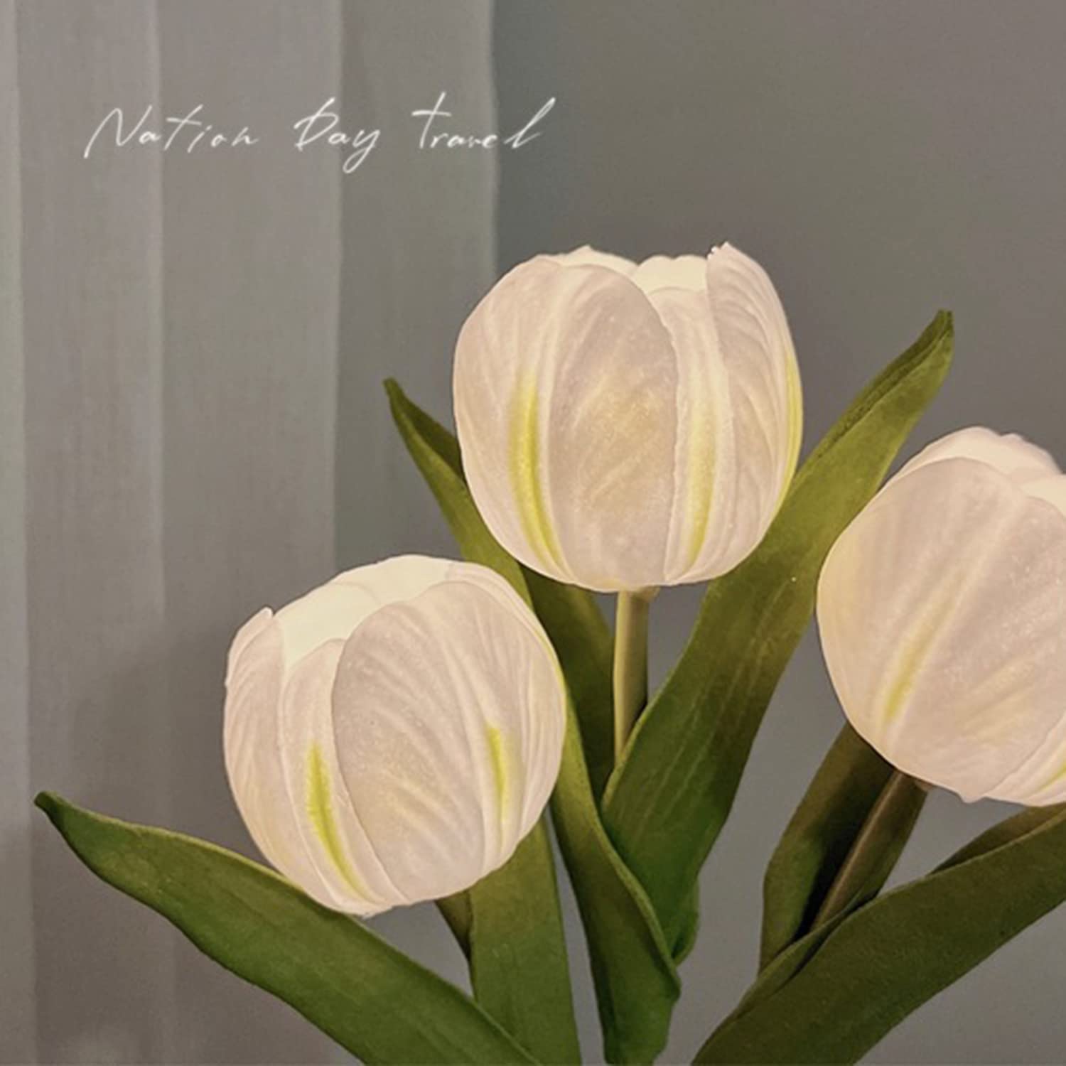 Lámpara de tulipán fotografías e imágenes de alta resolución - Alamy
