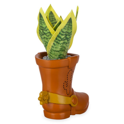 Toy Story Bota Planta Suculenta Oficina