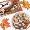 Dove Promises White Chocolate Pumpkin Pie Chocolate Candy - 7.94oz