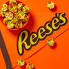 REESE'S Mini Stuffed with Pretzels Milk Chocolate Peanut Butter Candy, 16.5 Oz (Cont. 5)