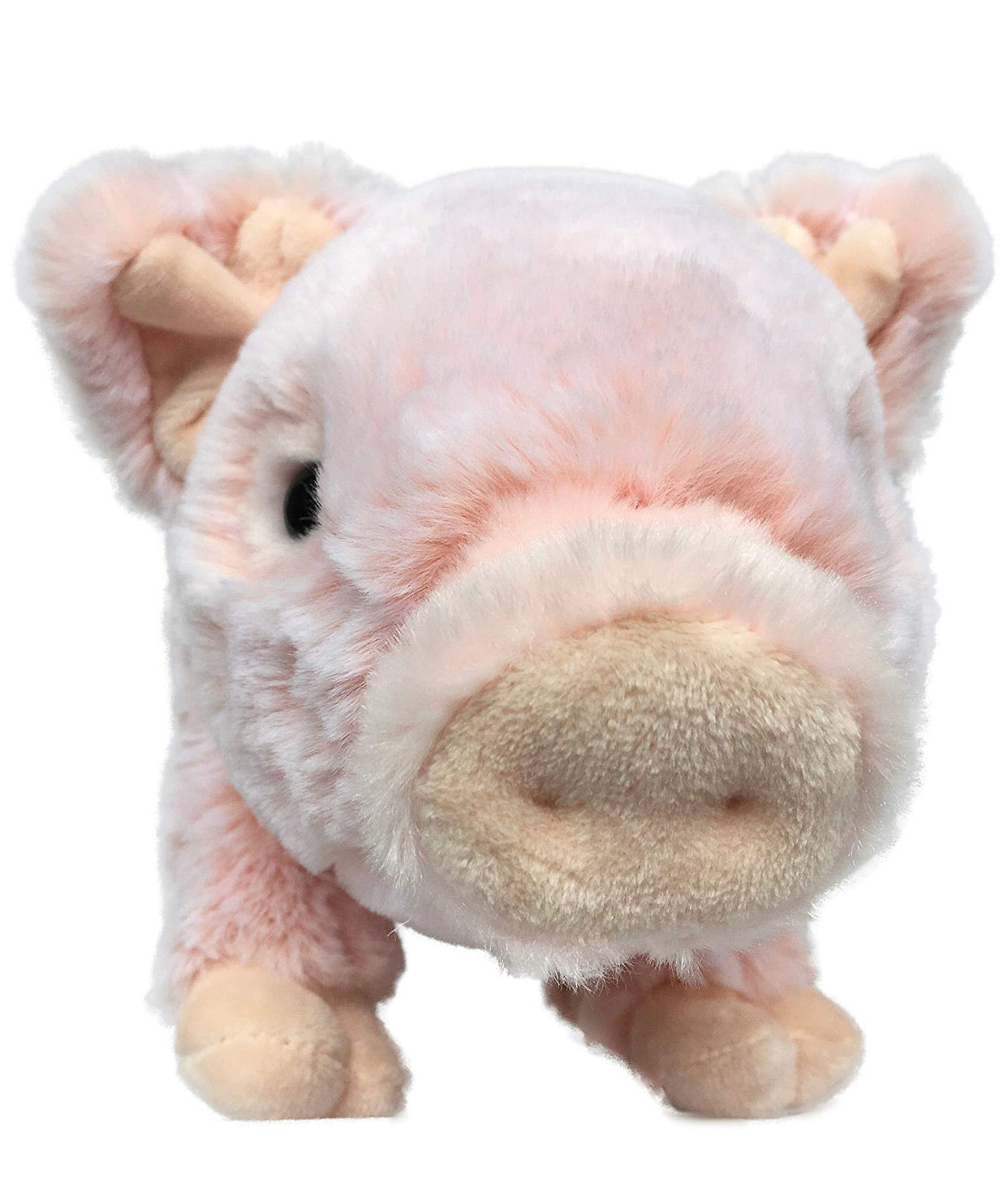 Peluche De Cerdito Puerquito Puerco Accesorios Mexicali