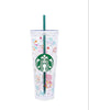 Disney Termo Starbucks Disneyland Park