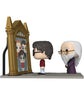 Harry Potter & Albus Dumbledore Funko 145