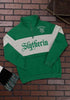 Harry Potter Slytherin Sueter